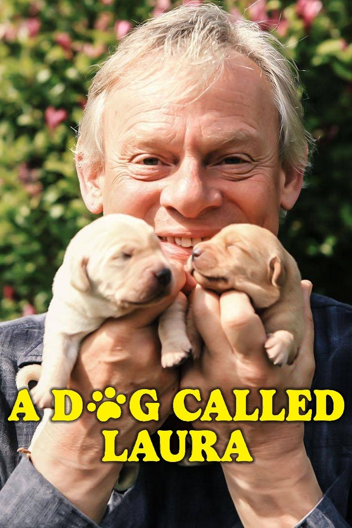 Постер A Dog Called Laura